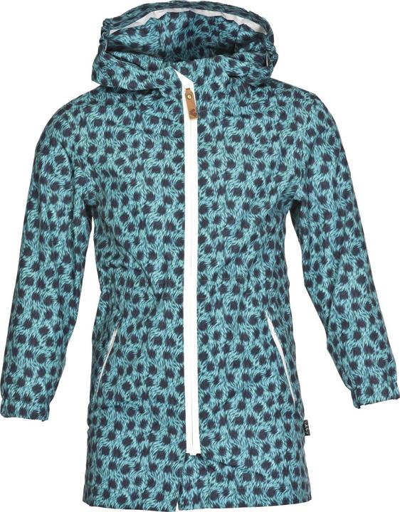 arctic print