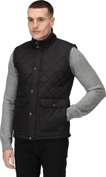 Image du produit Regatta - Veste sans manches TYLER - Homme (XL)