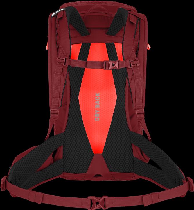 Immagine prodotto Salewa Alp Trainer L Zaino Da (20 l)