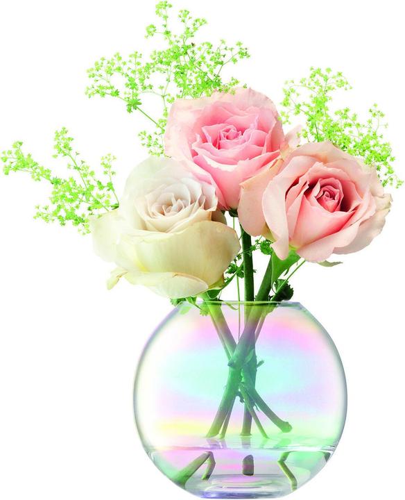Immagine prodotto LSA Pearl (1 x, 12 x 11 cm)