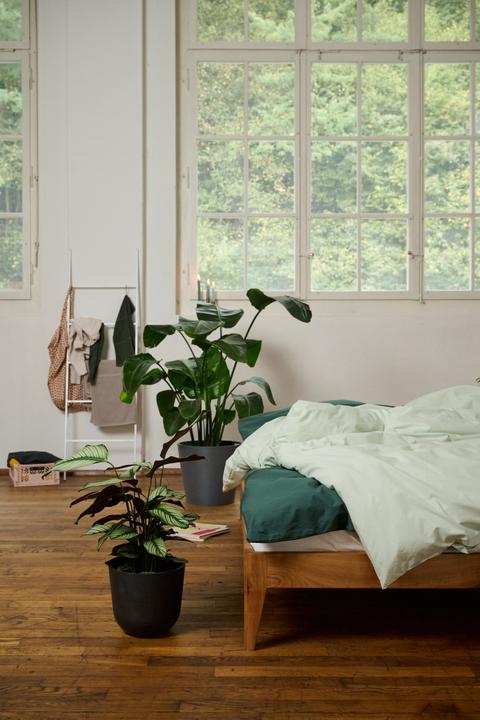 Actual product image lavie Louise (Pillowcase, 40 x 60 cm)