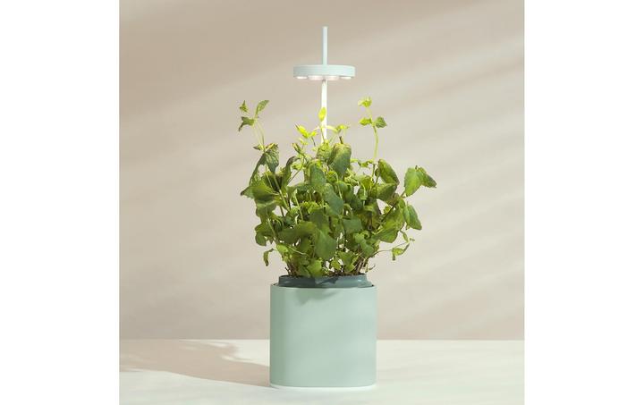 Actual product image Prêt à Pousser Herb Pot Nano, Celadon Green (13.50 cm)