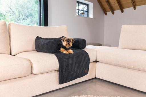Image du produit Designed by Lotte Ribbed (Chien)
