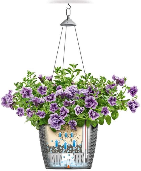 Actual product image Lechuza Nido Cottage (27 cm)