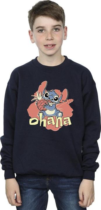 Actual product image Disney Boys Lilo And Stitch Ohana Pineapple Sweatshirt (140, 146)