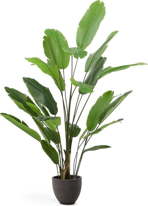 Kave Home Banano (210 cm)