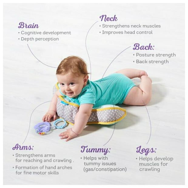 Actual product image Taf Toys belly pillow (42 x 26 cm)