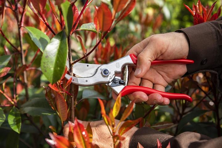 Actual product image Felco 4