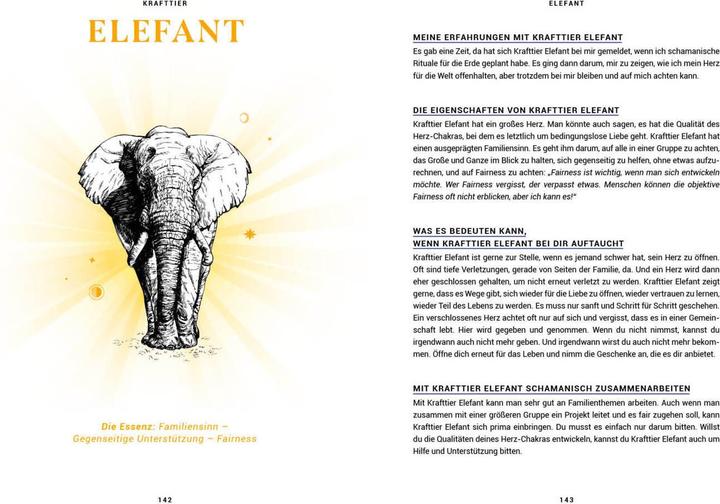 Image du produit Praxisbuch Schamanische Krafttiere – Entdecke deine Seelenbegleiter (Allemand, Benjamin Maier, 2022)