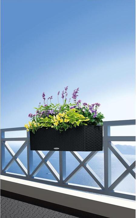 Produktbild Lechuza Balconera Cottage (19 cm)