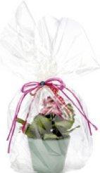 Immagine prodotto Folia Rotolo carta da regalo trasparente (Pellicola da regalo, 1 x)