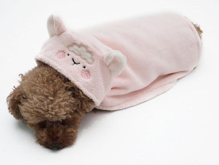 Dog clothing