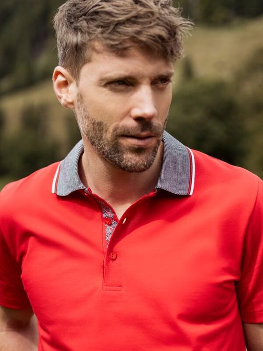 Produktbild ISA Bodywear Schwingerkollektion Poloshirt (L)