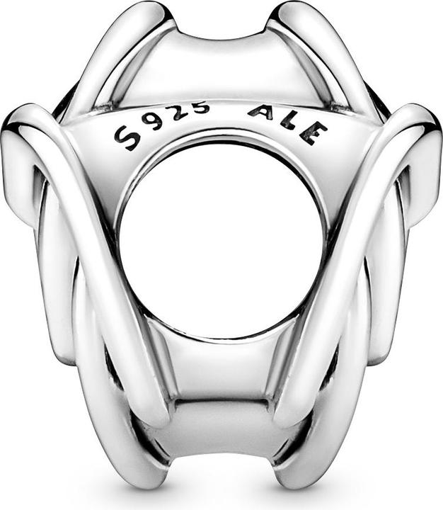 Actual product image Pandora Charm Family Forever (Sterling silver 925)