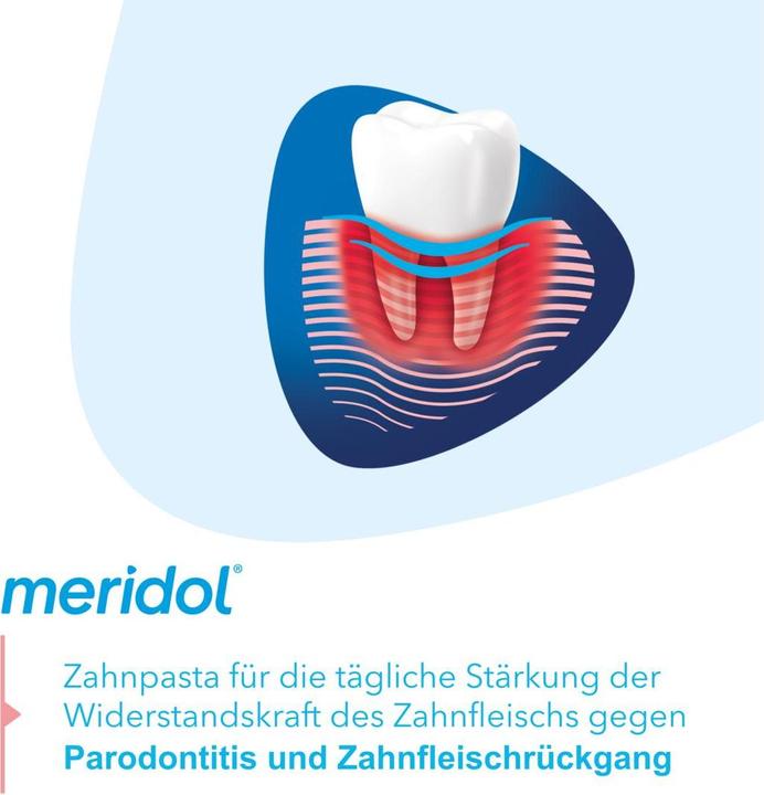 Image du produit Meridol Parodont Expert (75 ml)