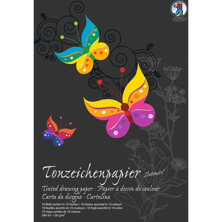 Actual product image Ursus Clay drawing paper pad A3 2154099SE 130g, intensive 10 sheets (130 g/m², 10 x)