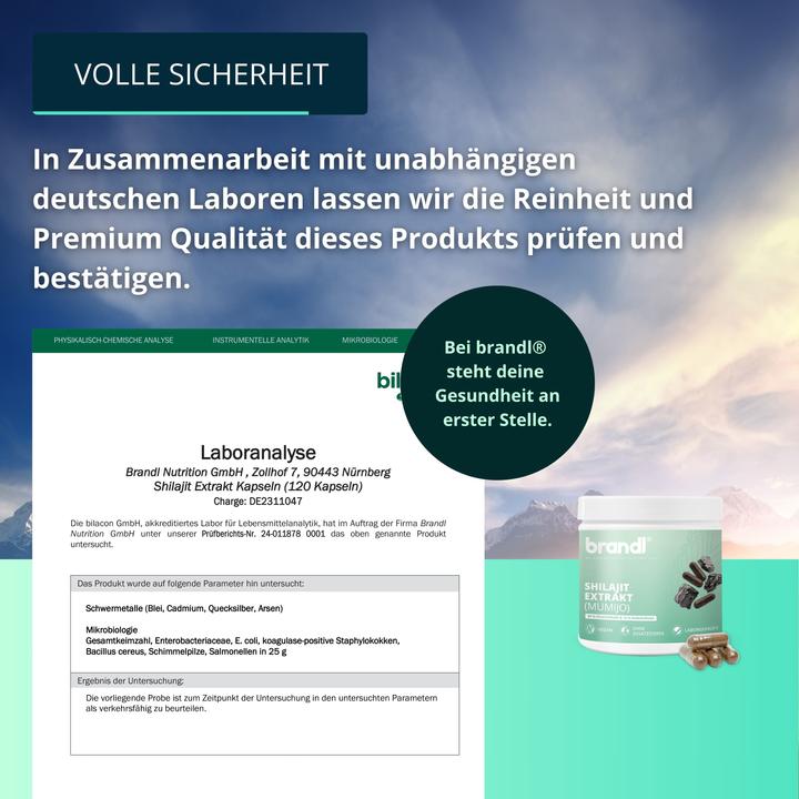 Immagine prodotto Brandl Capsule di shilajit (1 Pezzo/i, Pillole, 75 g)