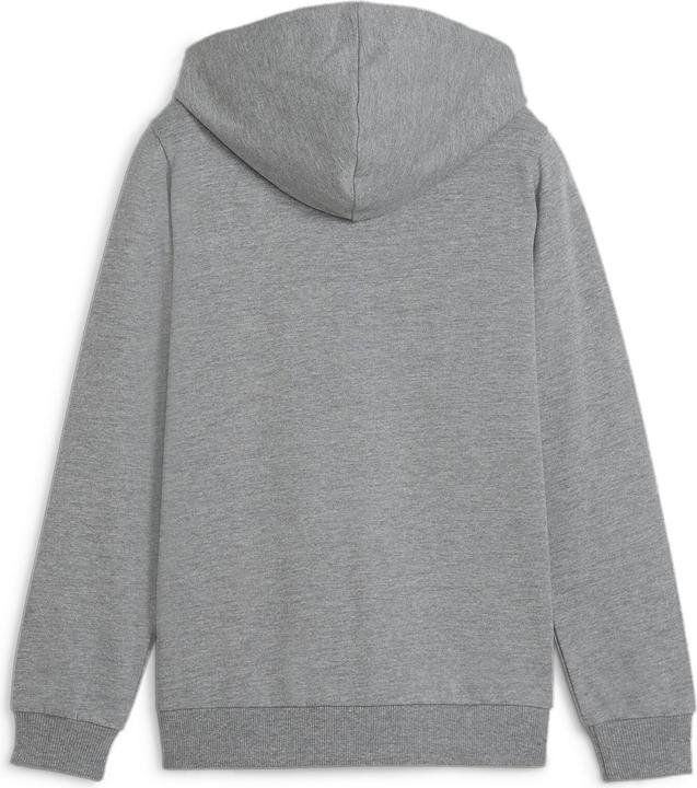 Actual product image Puma teamGOAL Casuals Hooded Jacket Jr (164)