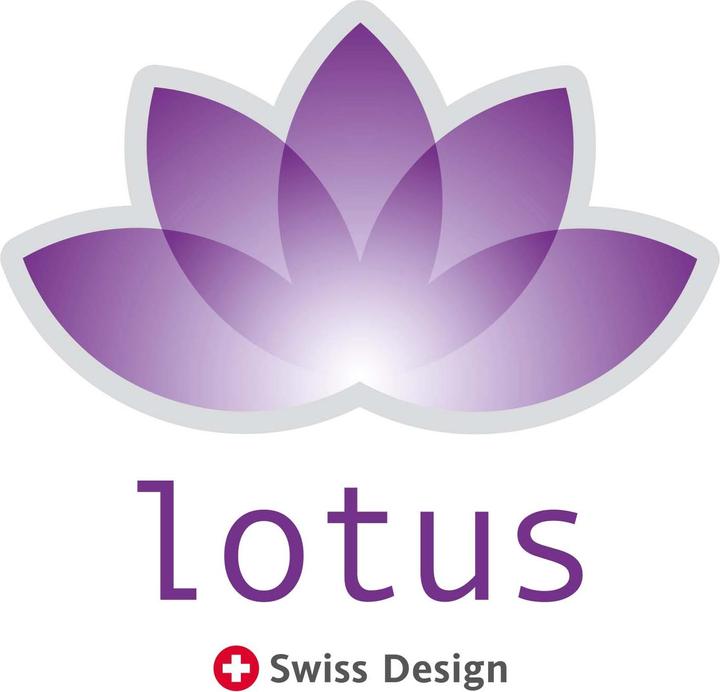 Immagine prodotto Lotus Bettwaren Otto (Copripiumino, 200 x 210 cm)