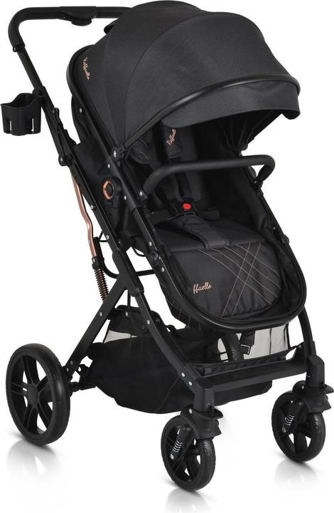 Produktbild Moni Kombikinderwagen Rafaello 2 in 1