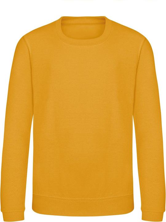 Image du produit Awdis Just Hoods Pull Sweatshirt Unicolore (158)