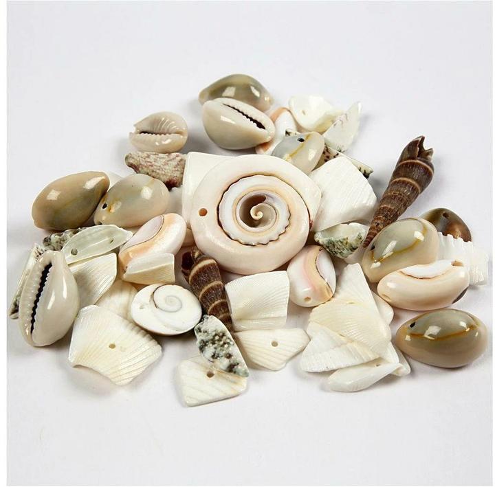 Creativ Company Strandmuschelnperlen
