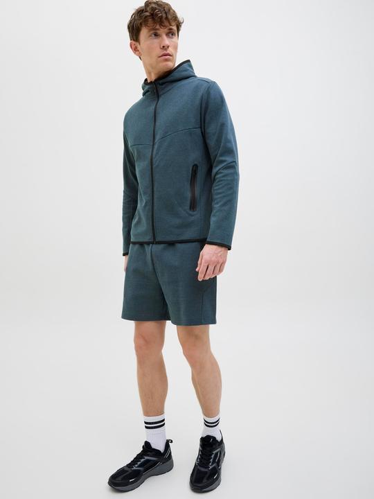 Produktbild Jack & Jones Regular Fit Regular Fit Shorts Regular Fit Shorts (L)
