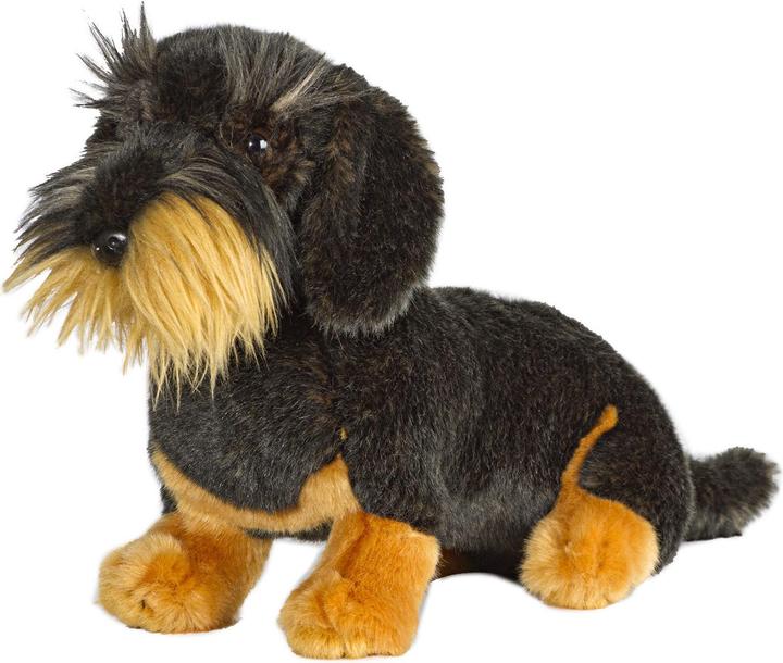 Actual product image Akah Plush toy "Rough-haired dachshund (30 cm)