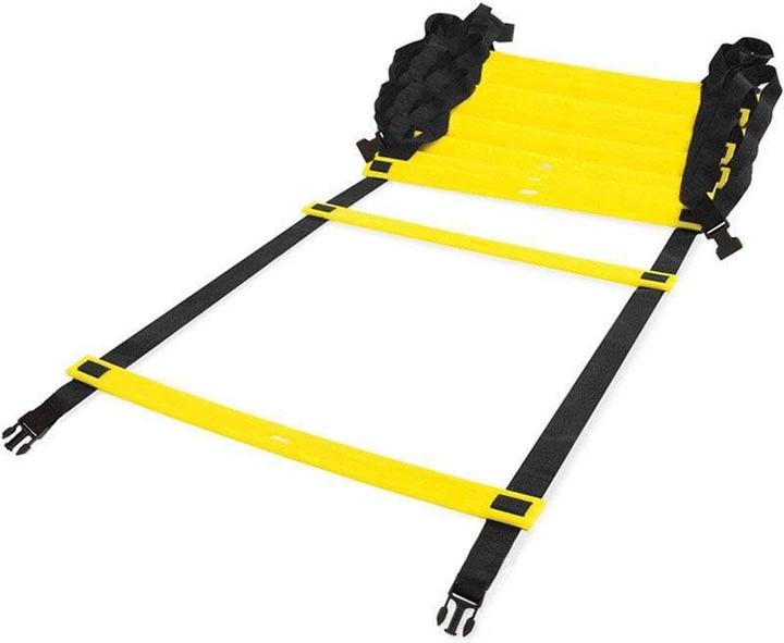 Precision Agility Leiter