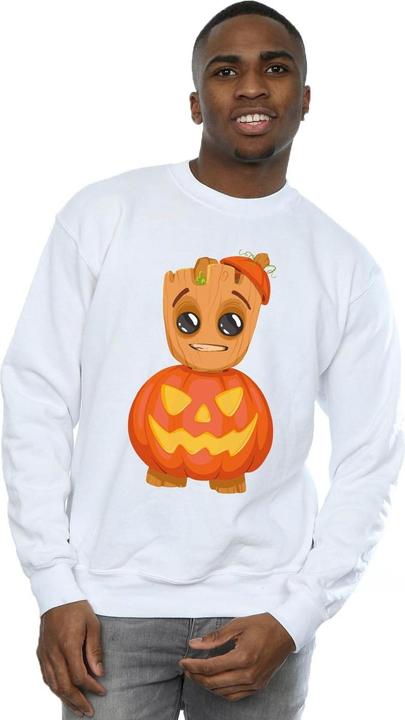 Image du produit - Sweat - Homme (S)