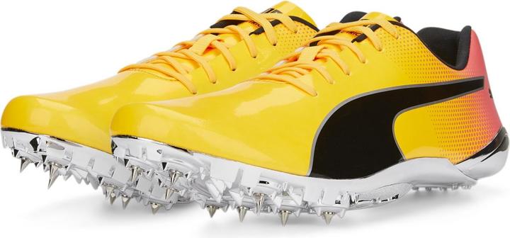 Produktbild Puma evoSPEED Electric 13 (37.5)