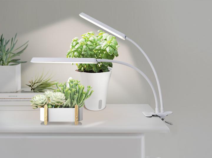 Productafbeelding Enne Interior Duo Grow Plant Light, 16 W, 780 lm, white (LED)