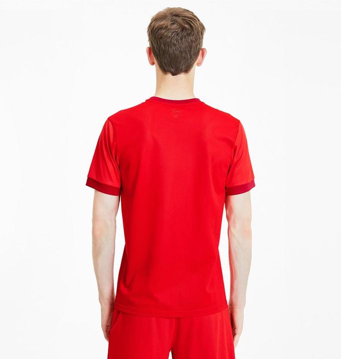 Actual product image Puma teamGOAL 23 Jersey-704171 (XL)