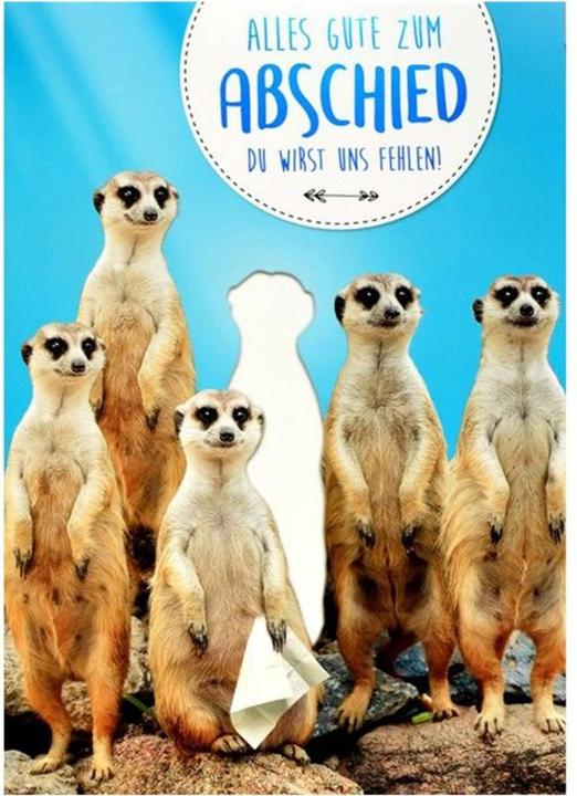 Immagine prodotto ABC Meerkat (1 pz.)