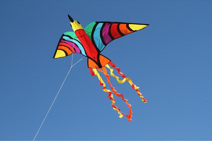 Immagine prodotto Invento Uccello tropicale del drago
