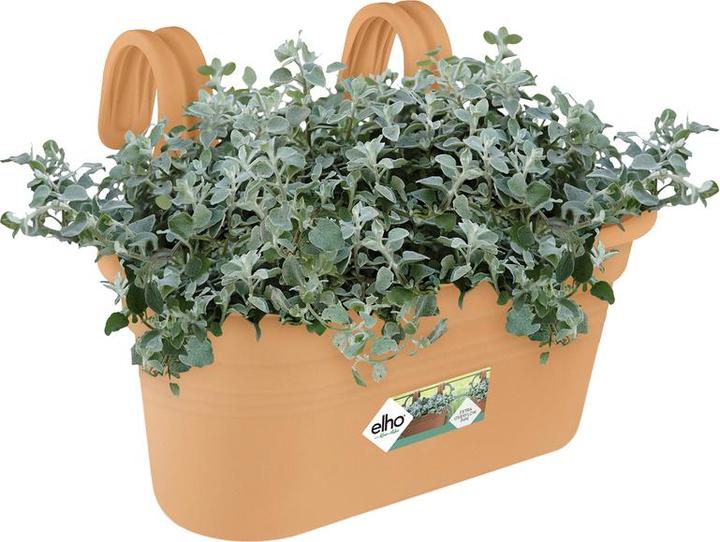 Image du produit Elho Bac à plantes Easy Hanger Green Basics, ovale, 26x36x25,7 cm, en plastique en terracotta (26.20 cm)