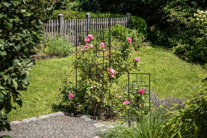 Produktbild Windhager Blumenranke (122 cm, 30 cm)