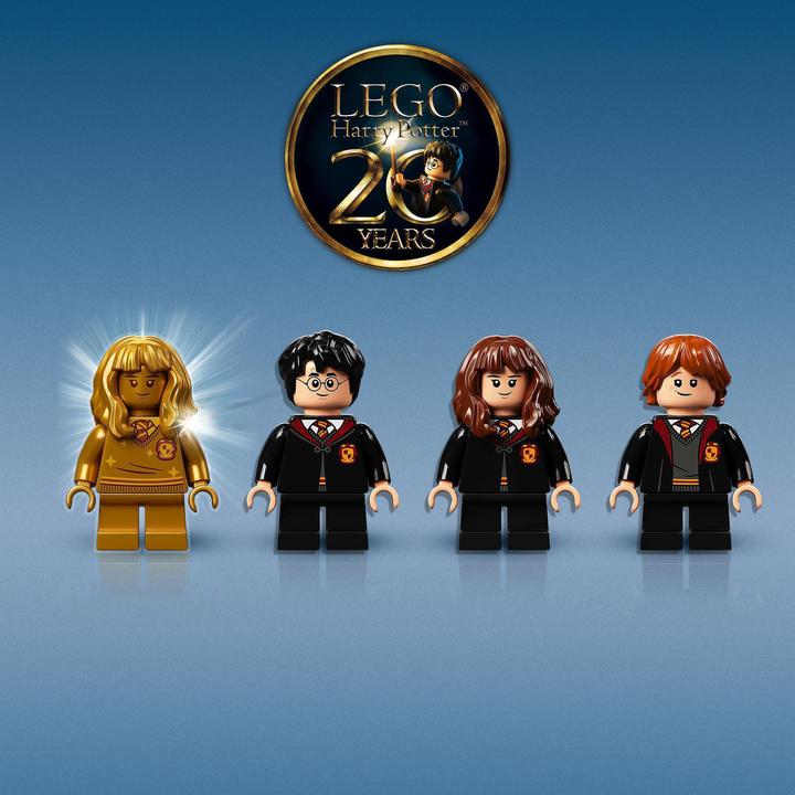 Actual product image LEGO Hogwarts: Meeting Fluffy (76387, LEGO Harry Potter)