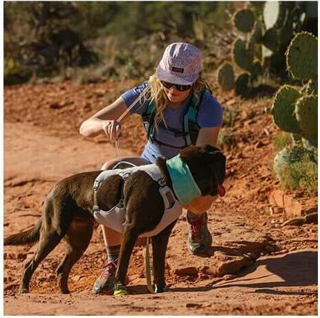 Produktbild Ruffwear Swamp Cooler Harness (M, Hund, Allgemein)