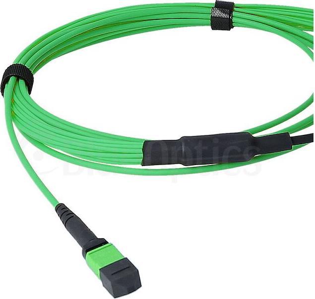 Immagine prodotto BlueOptics Cavo di breakout duplex MTP/8xLC in fibra ottica OM5 da 10 metri (10 m)