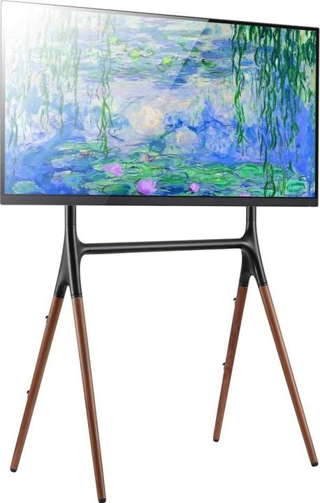Techly ICA-TR19 (70", 40 kg)