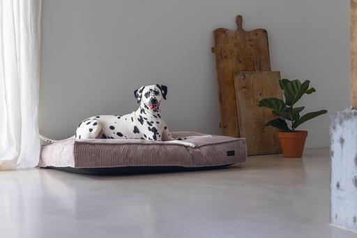 Immagine prodotto Designed by Lotte Cuscino a coste (Cane)