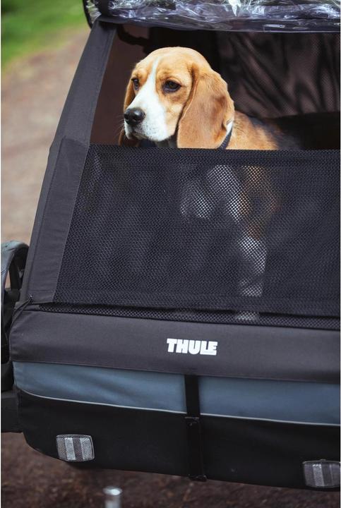 Produktbild Thule Hundeset zu Courier