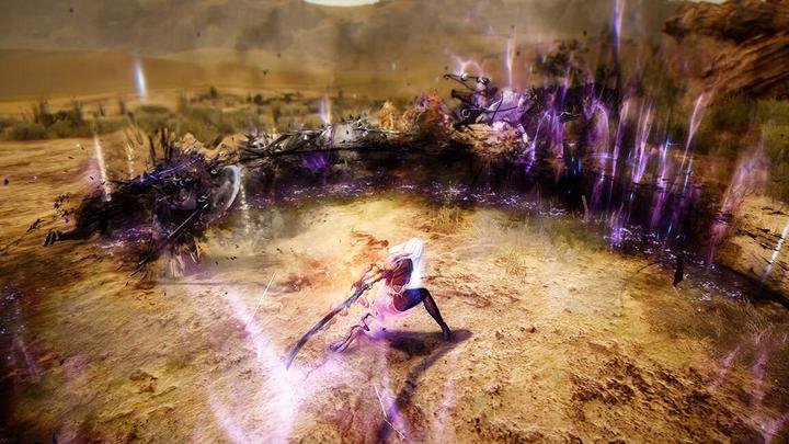 Actual product image Pearl Abyss Black Desert: Prestige Edition (PS4, DE)