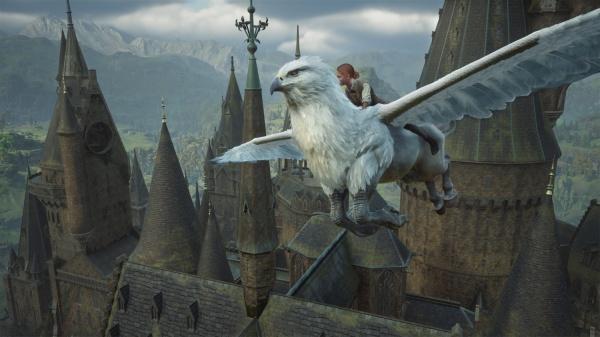 Actual product image WB Hogwarts Legacy (Switch 2, DE)