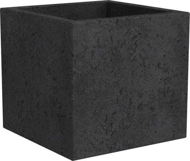 Stony, Black