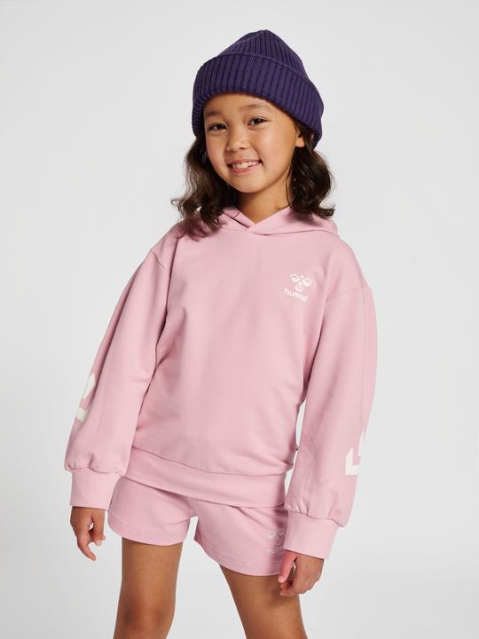 Immagine prodotto hummel hmlDUE HOODIE (104)