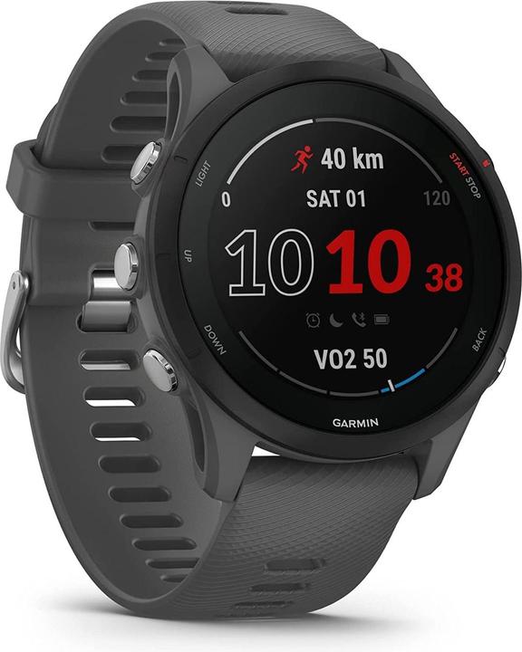 Actual product image Garmin Forerunner 255 (46 mm)