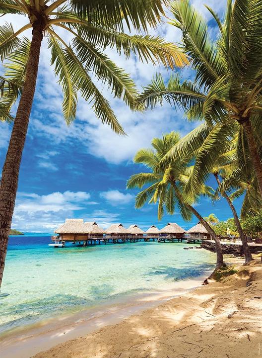 Actual product image Nathan Puzzle 500 pieces Plage Bora - Polynésie Française (500 pieces)