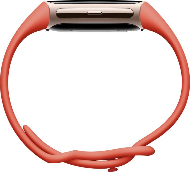 Actual product image Fitbit Charge 6 (36.73 mm)